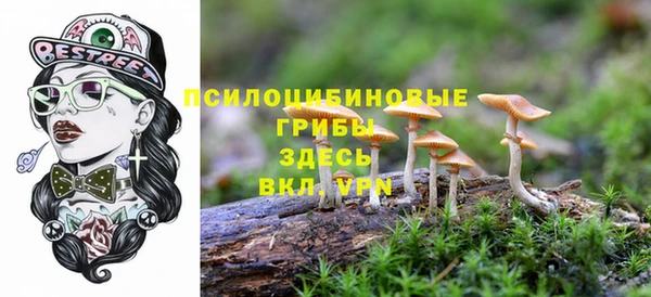 Альфа ПВП Краснослободск