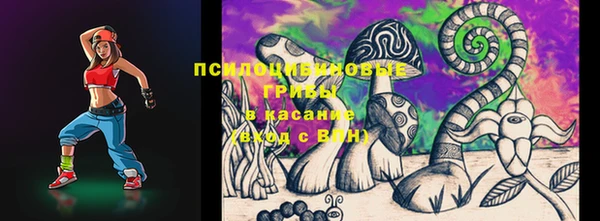 Альфа ПВП Краснослободск