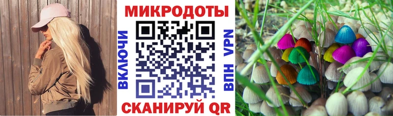Галлюциногенные грибы прущие грибы  Северодвинск 