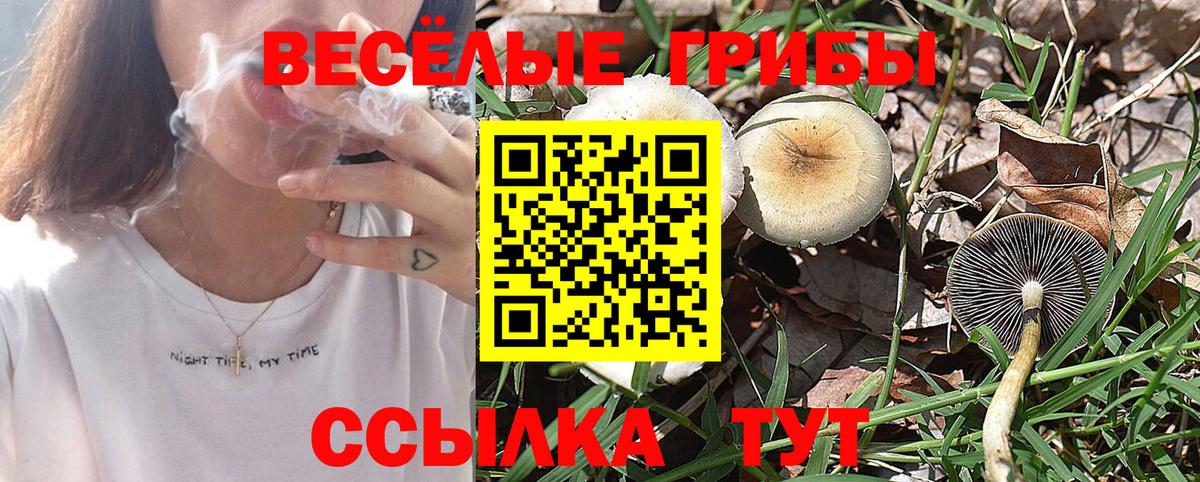 Северодвинск  Псилоцибиновые грибы Cubensis  Вход с VPN 