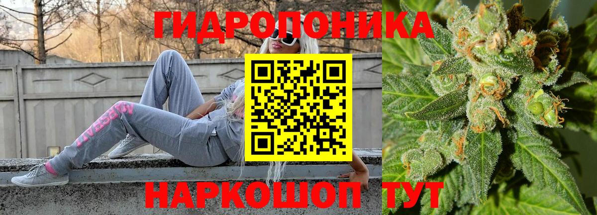 Бошки марихуана конопля  Вход с VPN  Северодвинск  Каннабис Bruce Banner  МАРИХУАНА индика 